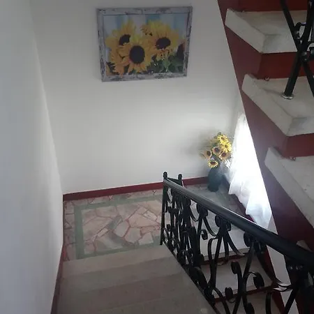 Pensjonat Minchevi 2*